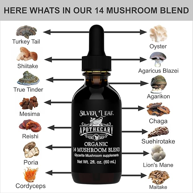 Organic Mushroom Supplement Tincture Extract of Reishi, Chaga, Cordyceps, Lions Mane, and More for Immune Support, Blend of 14 Triple-Extracted Mushrooms for Memory Focus & Vitality - 2 Fl Oz