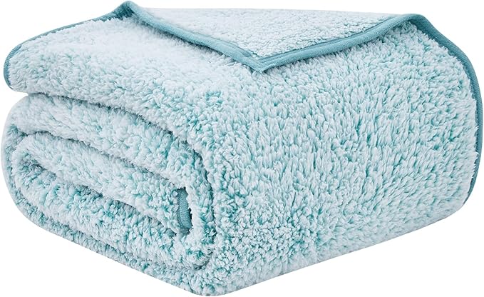 EMME Fuzzy Blanket Soft Fleece Throw Blankets for Women, Fluffy Sherpa Throws(Plush Teal,50"x60")