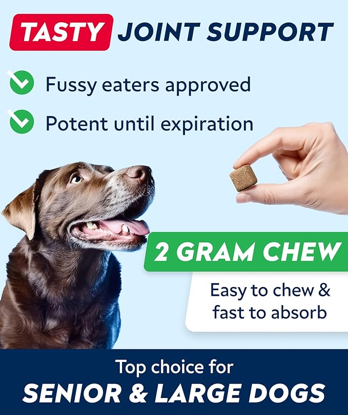 Hip & Joint Glucosamine Supplement Treats for Dogs - Chondroitin, Omega-3, MSM - Advanced Joint Health Support Chews for Large Breed - Pain Relief - Bacon Flavor - 120 Ct - Made in USA
