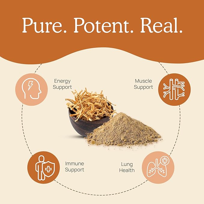 Real Mushrooms Cordyceps Mushroom Powder - Organic Cordyceps Powder Mushroom Energy and Wellness Support - Rich in Beta Glucans - Non-GMO, Vegan Supplement, 60 Servings