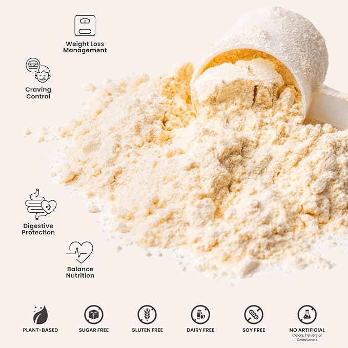 310 Nutrition All-In-One Meal Replacement Shake Powder - Plant-Based Protein Smoothie Blend w/High Fiber, Probiotics & Adaptogens - Low Carb, Vegan, Keto & Paleo Friendly - Horchata - 28 Srv