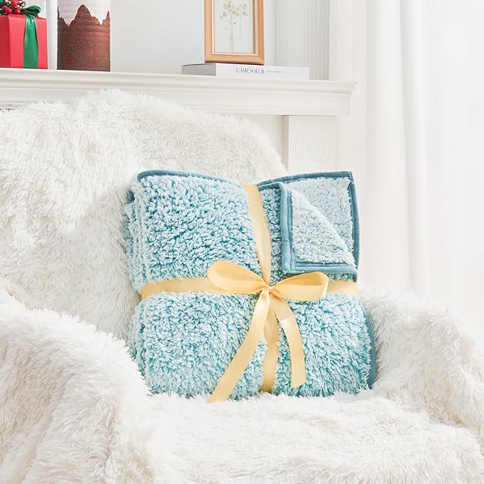 EMME Fuzzy Blanket Soft Fleece Throw Blankets for Women, Fluffy Sherpa Throws(Plush Teal,50"x60")