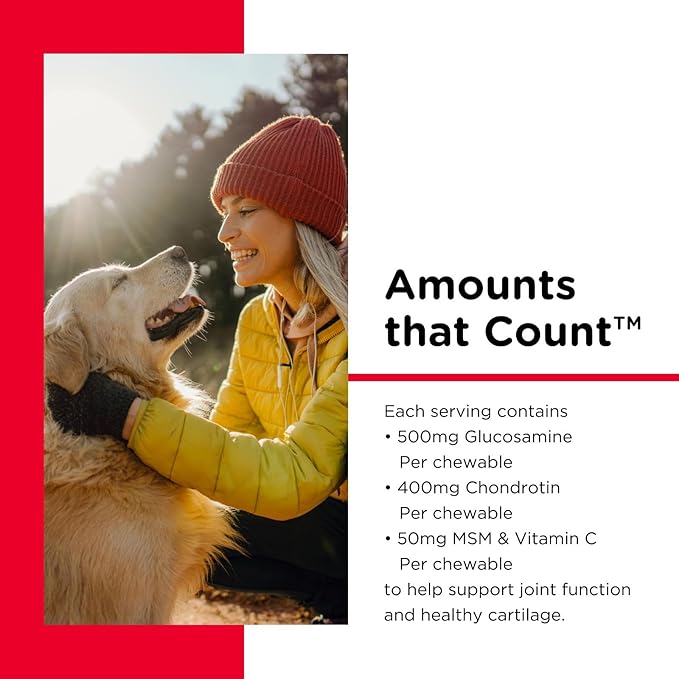 Nutri-Vet Hip & Joint Chewable Dog Supplements - Formulated with Glucosamine & Chondroitin for Dogs - 90 Count