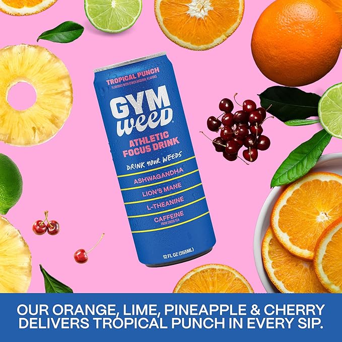 GYM WEED Athletic Focus Drink with KSM-66 Ashwagandha, Lion's Mane Mushroom, L-Theanine, 200mg Green Tea Caffeine with Natural Sweeteners Tropical Punch Flavor, 12 Pack