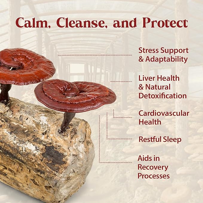 Dragon Herbs Duanwood Reishi Drops • Mushroom Supplement • Mountain Organically Log Grown • Triple Extractions • for Immunity, Sleep, Heart, Liver, Stress, Super Potency Fast Acting • 2 fl oz, 60 mL