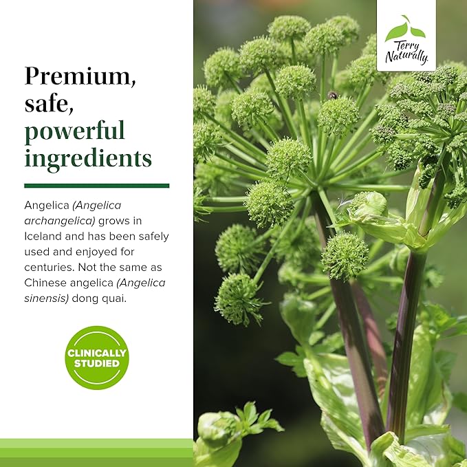 Terry Naturally SagePro Bladder - Bladder Support Supplement - Dietary Supplement with Angelica Leaf Extract - Vegan Capsules to Aid Urinary Tract Function & Health - 60 Capsules (Pack of 2)