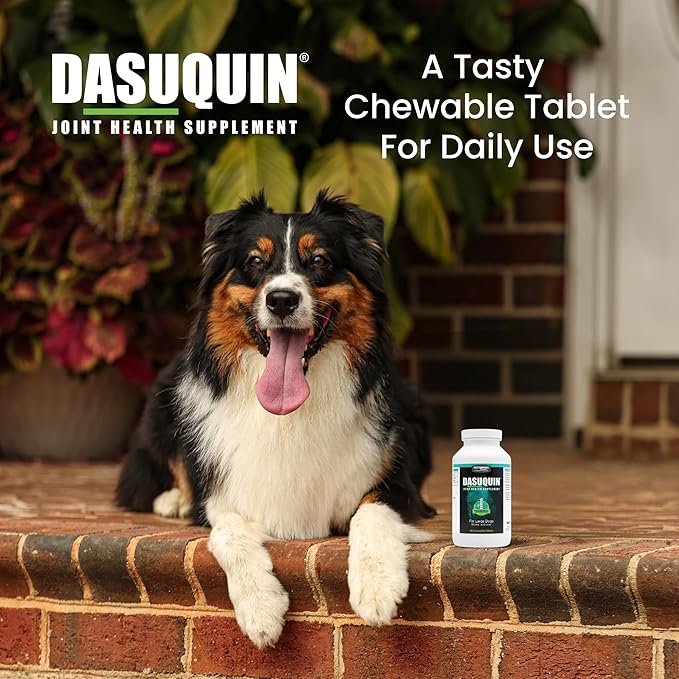 Dasaquin Dog Joint Supplement Chew Tablet (150 Count) Dog Size: Large (60+ lbs)