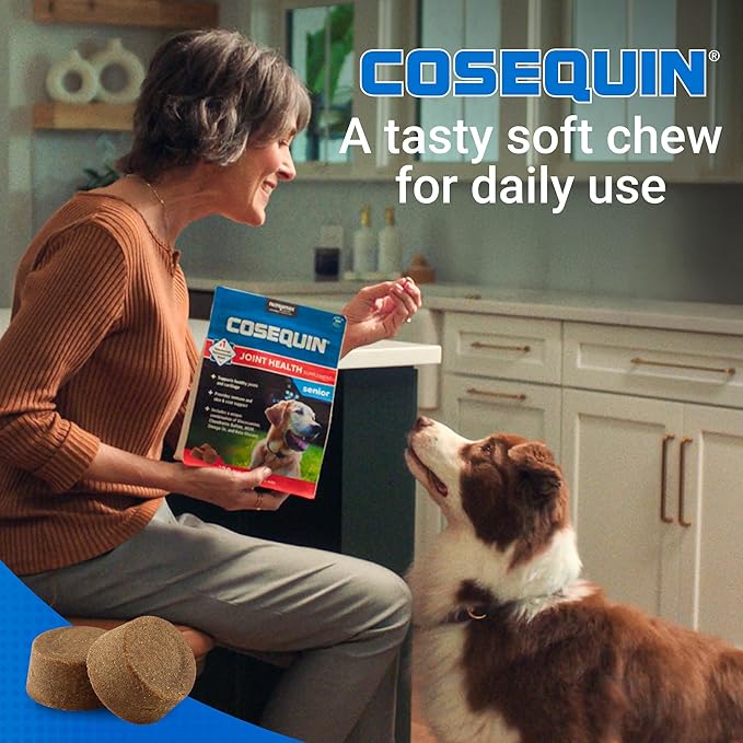 Nutramax Cosequin for Senior Dogs Joint Health Supplement, Contains Glucosamine, Chondroitin, MSM, Omega-3s and Beta-Glucan, Supports Joint, Skin and Coat, Immune Health, Soft Chews, 120 Count