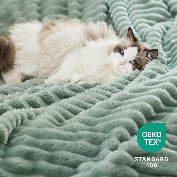 Bedsure Sherpa Blanket Queen Size for Bed - Super Soft, Cozy Fleece Thick Warm Blanket for Winter, GentleSoft Home Room Decor, Sage Green, 90x90 Inches