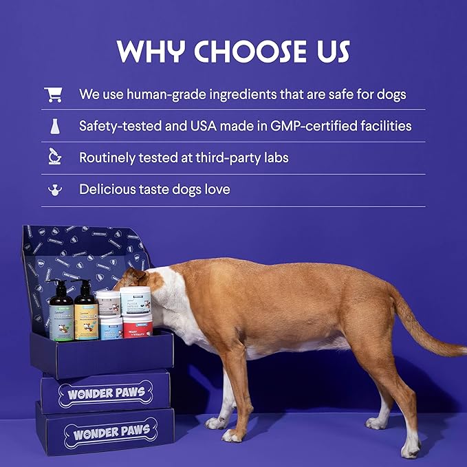 Premium Liquid Glucosamine for Dogs Strength Joint Support, Flexibility, Cartilage & Mobility - Hip and Joint Supplement with Chondroitin, MSM, Collagen & Hyaluronic Acid (16 Oz)