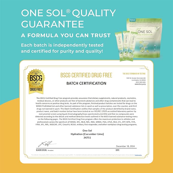 One Sol BCAA & Electrolyte Powder for Hydration & Energy, All-Natural Formula, 100% Vegan, Non-GMO, Gluten Free & Soy-Free, Promotes Muscle Growth & Recovery, Natural Blue Raspberry Flavor