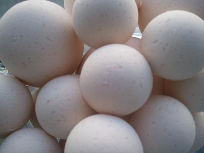 Spa Pure Shea Bath Bombs: 14 Bath Bomb Fizzies with Shea Butter, Ultra Moisturizing ..Great for Dry Skin (Rice Petals & Shea)