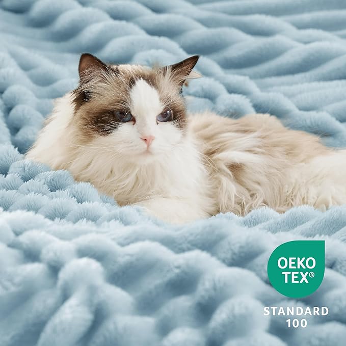 Bedsure Sherpa Blanket Queen Size for Bed - Super Soft, Cozy Fleece Thick Warm Blanket for Winter, GentleSoft Home Room Decor, Sky Blue, 90x90 Inches
