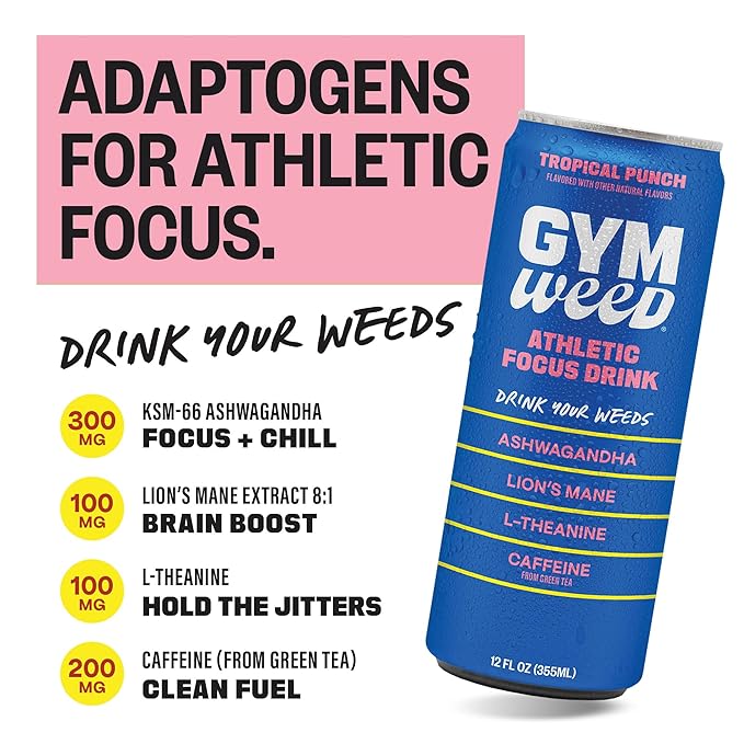 GYM WEED Athletic Focus Drink with KSM-66 Ashwagandha, Lion's Mane Mushroom, L-Theanine, 200mg Green Tea Caffeine with Natural Sweeteners Tropical Punch Flavor, 12 Pack