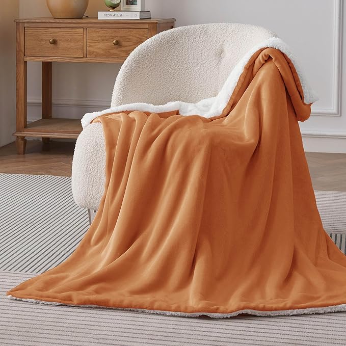 Bedsure GentleSoft Sherpa Fleece Throw Blanket Twin Size for Couch - Thick and Warm, Soft Fuzzy Plush Twin Blanket for Winter, Burnt Orange, 60x80 Inches