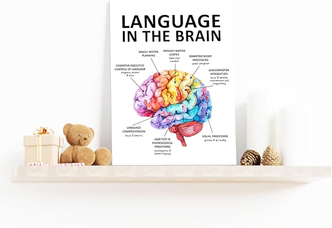 Speech Therapy Wall Art,Mental Health Wall Decor,Brain Wall Art,Therapy Office Decor,Language in the Brain Canvas for Home Psychologist Counselor Office