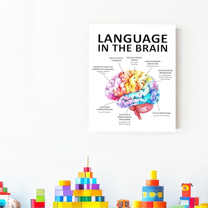 Speech Therapy Wall Art,Mental Health Wall Decor,Brain Wall Art,Therapy Office Decor,Language in the Brain Canvas for Home Psychologist Counselor Office
