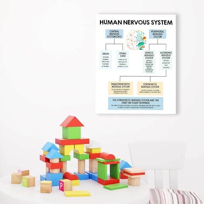 Mental Health Wall Decor,Human Nervous System Canvas,Therapy Office Wall Decor,Brain Anatomy Wall Art for Psychologist Therapist Counseling Office