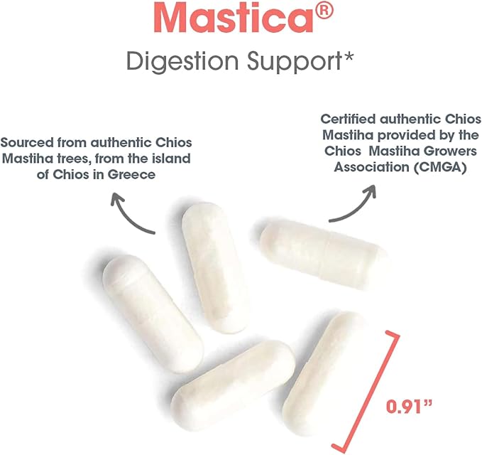 Allergy Research Group Mastica - Mastic Gum Capsules, Digestive Health Supplement for Adults, Mastic Resin Powder Capsules for Gut Health Support - 240 Count