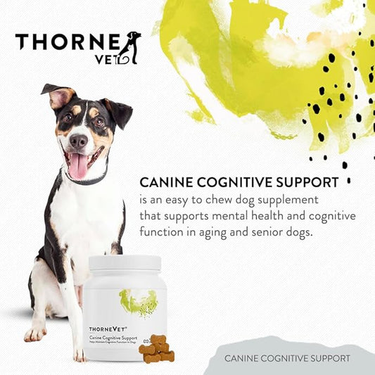 ThorneVet Canine Cognitive Support Soft Chews for Dogs - Great Tasting Health Supplement with B Vitamins and Antioxidants to Support The Brain Health of Your Senior Dog - 90 Soft Chews
