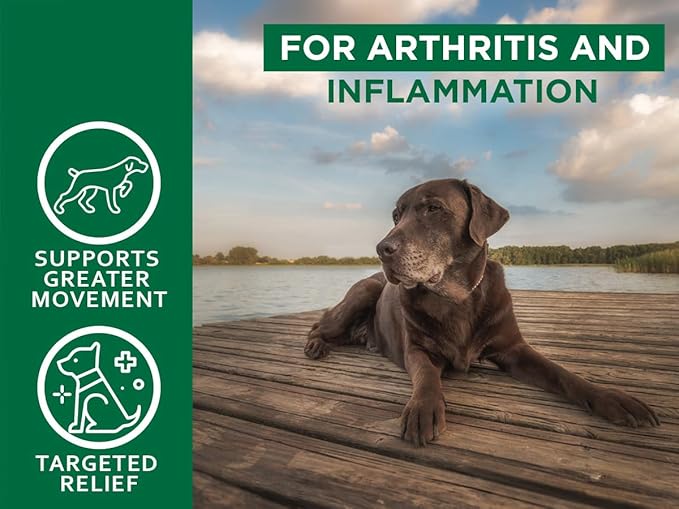 Green Lipped Mussel for Dogs – 1325mg High Strength Hip & Joint Supplement for Dogs with Omega-3 – Supports Dog Joint Health, Mobility & Vitality – 90 Dog Joint Supplements Tablets