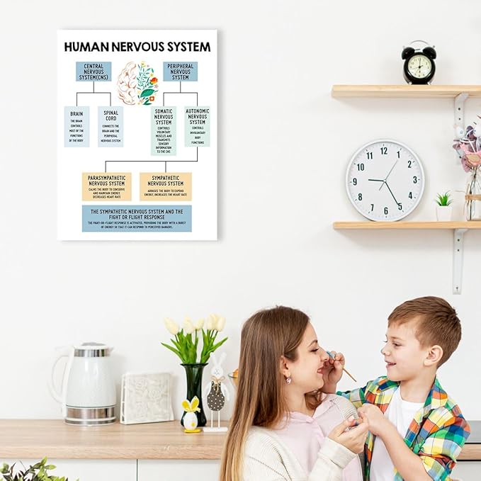 Mental Health Wall Decor,Human Nervous System Canvas,Therapy Office Wall Decor,Brain Anatomy Wall Art for Psychologist Therapist Counseling Office