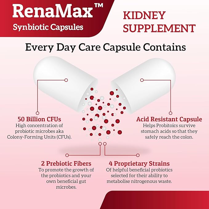 Capsule Kidney Restores & Kidney Care Supplement - Probiotic & Prebiotic Supplement to Support Normal Kidney Function - 50 Billion CFU per Capsule - Made in U.S.A (180 Caps (2 Pack))
