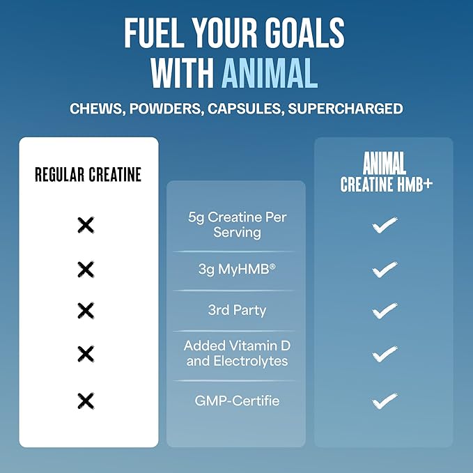 Animal Creatine HMB Powder – 5g Creatine + 3g myHMB with Electrolytes for Recovery & Daily Energy – Power Punch Flavor, 30 Servings