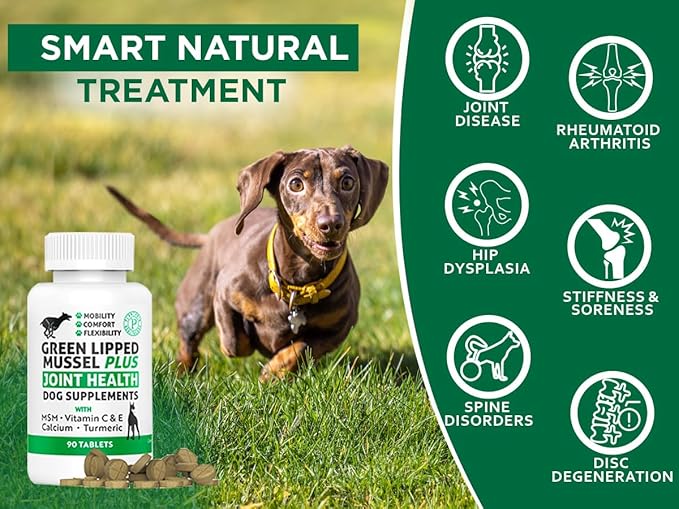 Green Lipped Mussel for Dogs – 1325mg High Strength Hip & Joint Supplement for Dogs with Omega-3 – Supports Dog Joint Health, Mobility & Vitality – 90 Dog Joint Supplements Tablets