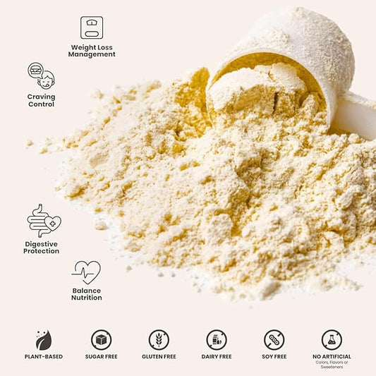 310 Nutrition Organic All-In-One Meal Replacement Shake Powder - Plant-Based Protein Smoothie Blend w/Fiber, Probiotics & Adaptogens - Low Carb, Vegan, Keto & Paleo - Caramel - 14 Servings