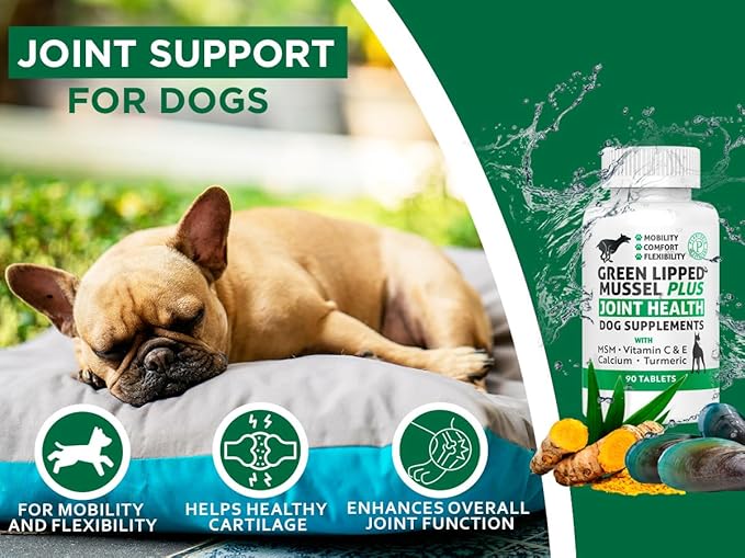Green Lipped Mussel for Dogs – 1325mg High Strength Hip & Joint Supplement for Dogs with Omega-3 – Supports Dog Joint Health, Mobility & Vitality – 90 Dog Joint Supplements Tablets