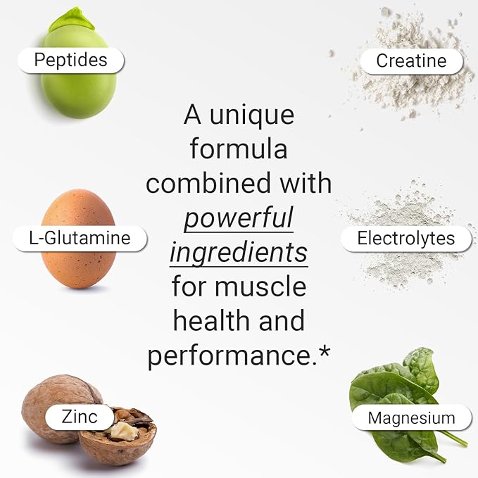 FLT Muscle Supplement for Muscle Strength & Recovery with Clinically Proven Ingredients: Plant-Based Peptides, Creatine, L-Glutamine, Magnesium, Zinc & Electrolytes – 30 Servings | Vegan Formula