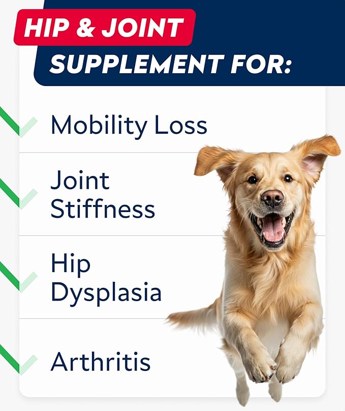 Hip & Joint Glucosamine Supplement Treats for Dogs - Chondroitin, Omega-3, MSM - Advanced Joint Health Support Chews for Large Breed - Pain Relief - Bacon Flavor - 120 Ct - Made in USA