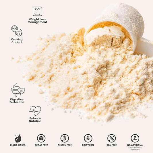 310 Nutrition All-In-One Meal Replacement Shake Powder - Plant-Based Protein Smoothie Blend w/High Fiber, Probiotics & Adaptogens - Low Carb, Vegan, Keto & Paleo Friendly - Horchata - 28 Srv