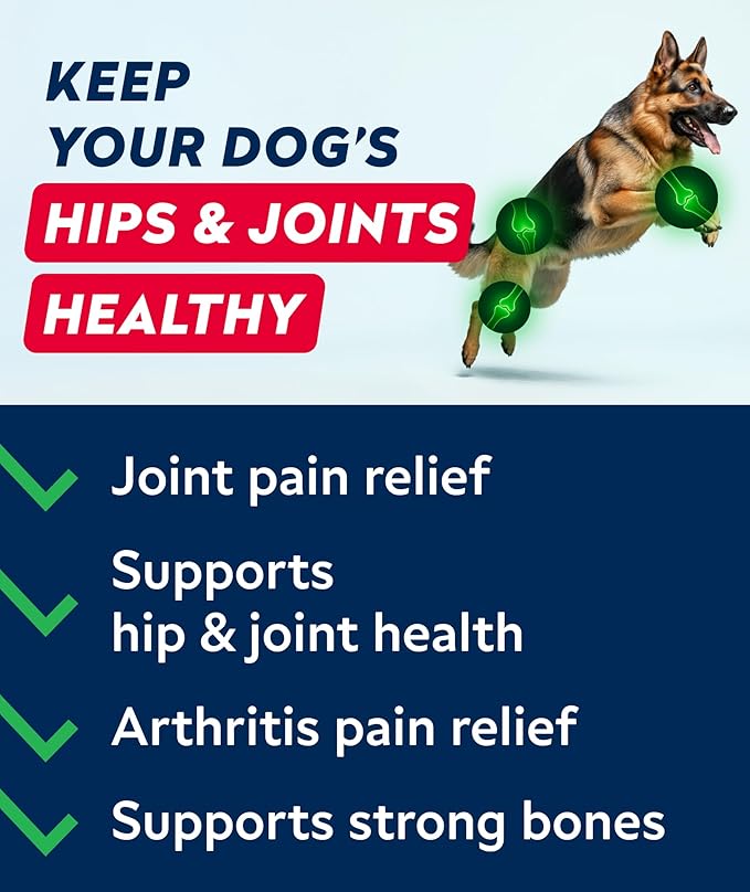 Hip & Joint Glucosamine Supplement Treats for Dogs - Chondroitin, Omega-3, MSM - Advanced Joint Health Support Chews for Large Breed - Pain Relief - Bacon Flavor - 120 Ct - Made in USA