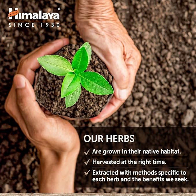 Himalaya UriCare Herbal Supplement, Kidney & Bladder Support, Urinary Tract & Urine Flow Support, Caffeine-Free, Non-GMO, Gluten Free, Vegetarian, 120 Capsules, 30 Day Supply
