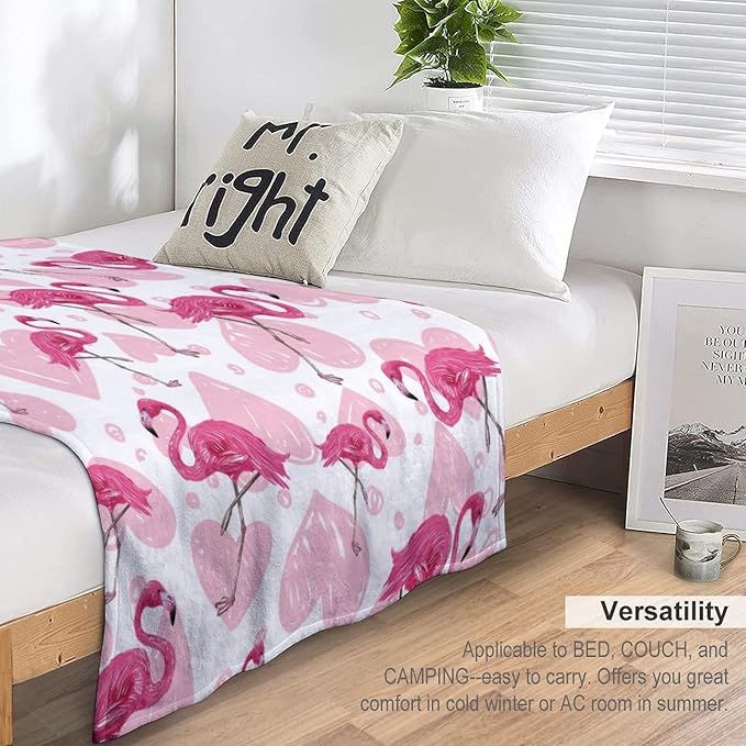 Flamingo Blanket Gifts - 40 x 50 Inches Cute Flamingo Throw for Kids - Light Pink Cozy Fuzzy Plush Blankets for Sofa
