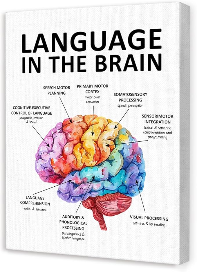 Speech Therapy Wall Art,Mental Health Wall Decor,Brain Wall Art,Therapy Office Decor,Language in the Brain Canvas for Home Psychologist Counselor Office