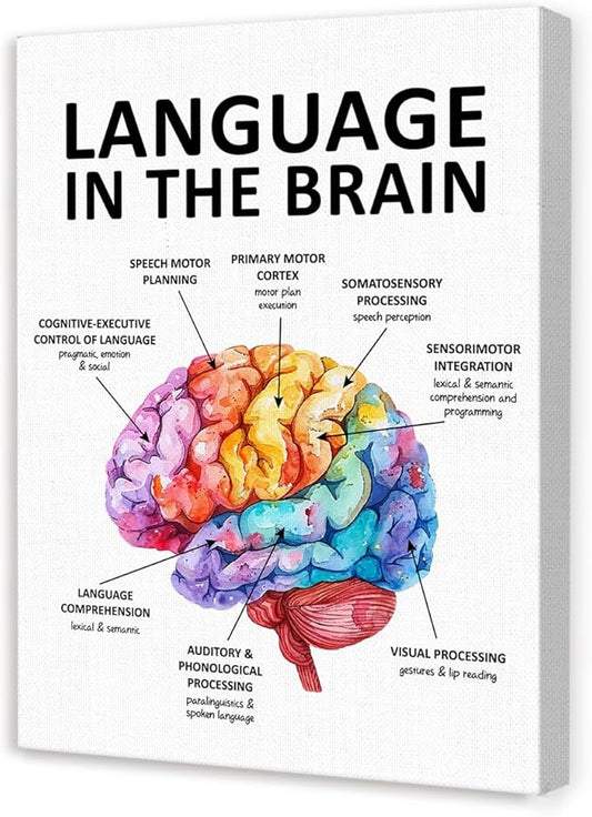 Speech Therapy Wall Art,Mental Health Wall Decor,Brain Wall Art,Therapy Office Decor,Language in the Brain Canvas for Home Psychologist Counselor Office
