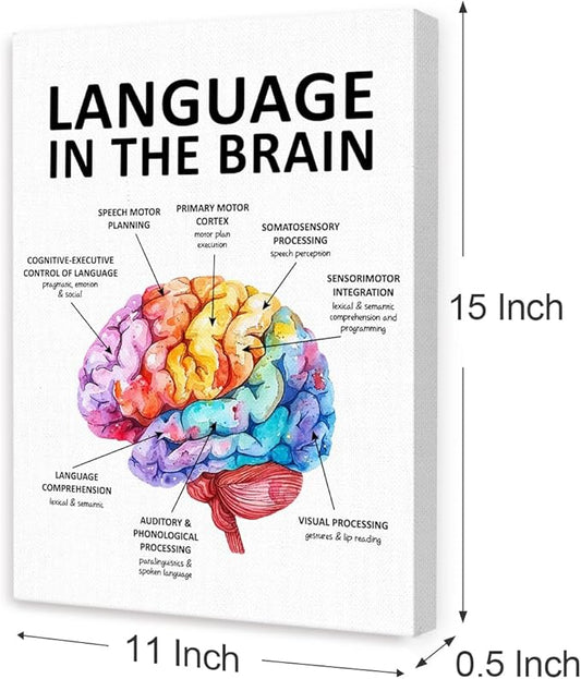 Speech Therapy Wall Art,Mental Health Wall Decor,Brain Wall Art,Therapy Office Decor,Language in the Brain Canvas for Home Psychologist Counselor Office