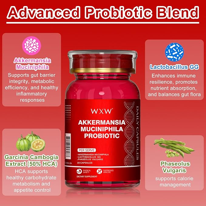 WXW Akkermansia Muciniphila Probiotic for Women and Men, Help GLP-1 Produce Naturally, Lactobacillus GG - Support for Metabolism Curb Cravings Digestive & Gut Health, 30 Capsules