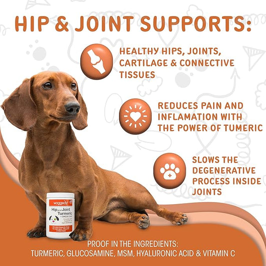 waggedy Hip and Joint Turmeric – Complete Dog Supplements for Joints with Glucosamine, MSM, HA & Omega Fatty Acids — Daily Glucosamine for Dogs to Improve Flexibility & Mobility (120 Dog Chews)