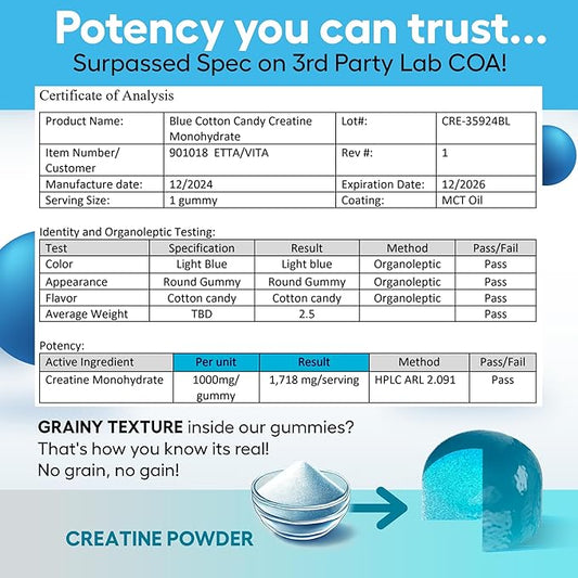 Sugar-Free Creatine Monohydrate Gummies (5g Per Packet) - Potent Creatine Gummies for Men & Women, Supplement for Muscle Support, Cellular Energy, Cognitive Function - Non-GMO, Gluten-Free, Vegan
