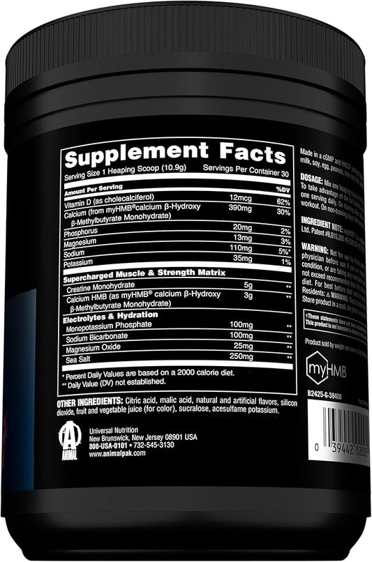 Animal Creatine HMB Powder – 5g Creatine + 3g myHMB with Electrolytes for Recovery & Daily Energy – Dragon Berry Flavor, 30 Servings