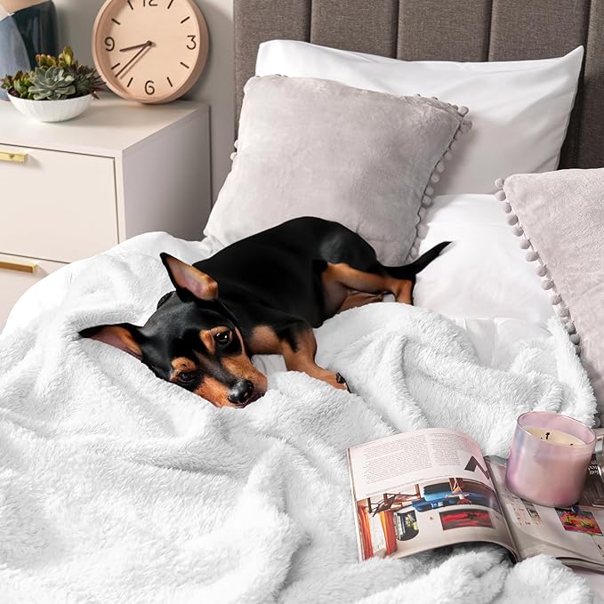 PAVILIA Sherpa Throw Blanket for Couch Sofa, White Fluffy Warm Plush Blanket for Bed, Cozy Super Soft Lightweight Throw, Fuzzy Decorative Blanket, All Season Home, 50x60