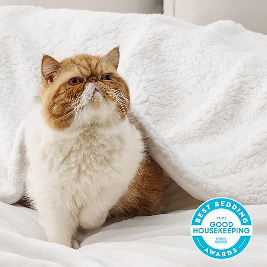 Bedsure GentleSoft Sherpa Fleece Blankets Queen Size for Bed - Thick and Warm, Soft Fuzzy Plush Queen Blanket for Winter, White, 90x90 Inches