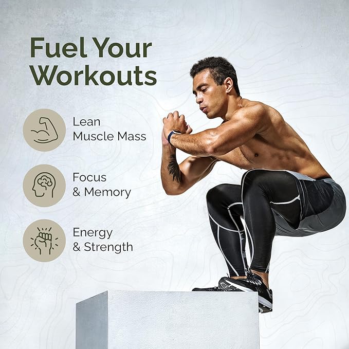 Lift | Nootropic | Lions Mane, Creatine, Caffeine | Mushroom Supplement | Supports Focus, Memory, Energy, Brain Fog | 60 Capsules