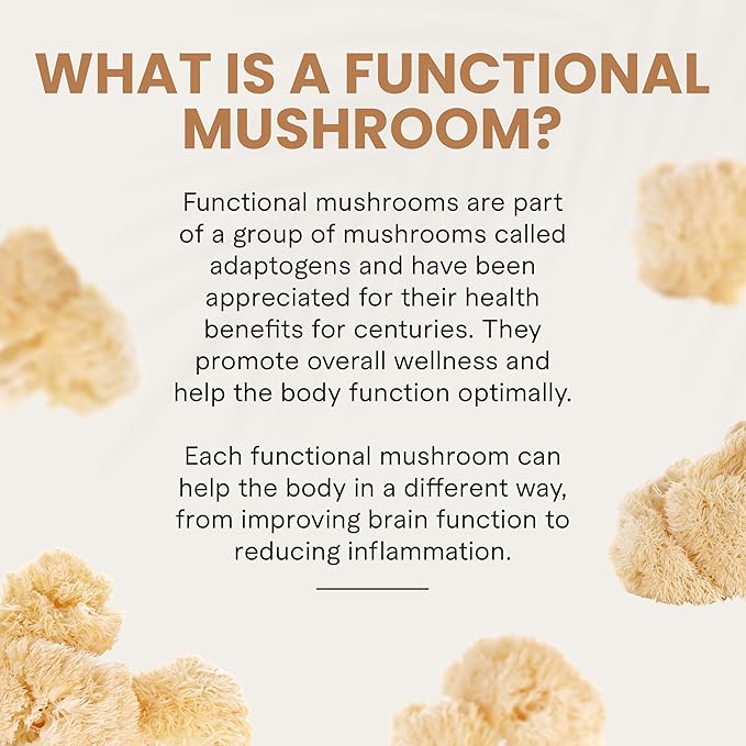 Charlotte's Web Focus Support Mushroom Gummies for Focus and Energy w/Lion’s Mane, Natural Cognitive Support Lions Mane Gummies for Adults — Tangerine Flavor (30 Servings)
