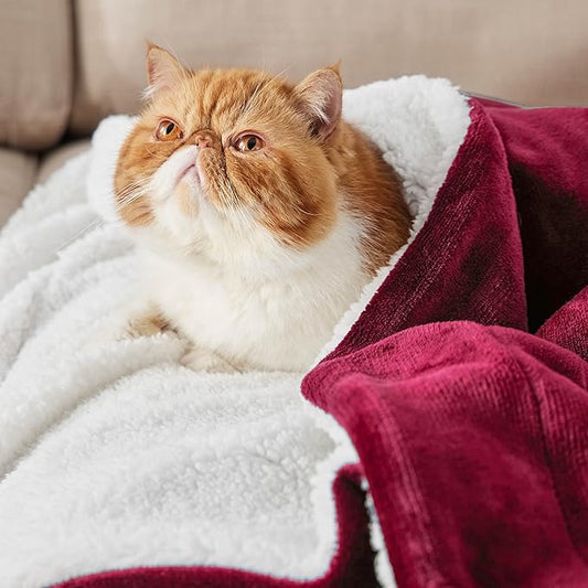 Bedsure GentleSoft Sherpa Fleece Throw Blanket Twin Size for Couch - Thick and Warm, Soft Fuzzy Plush Twin Christmas Blanket for Winter, Red, 60x80 Inches