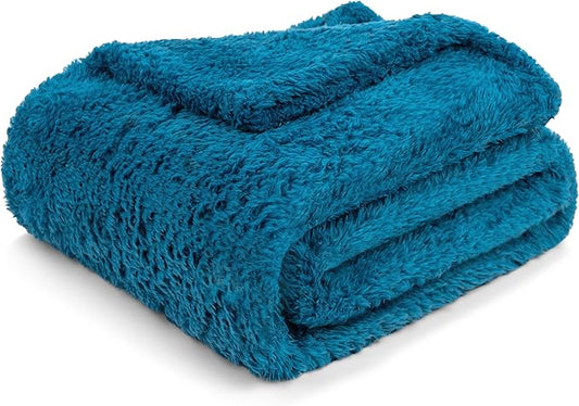 PAVILIA Sherpa Throw Blanket for Couch Sofa, Turquoise Teal Blue Fluffy Warm Plush Blanket for Twin Bed, Cozy Super Soft Lightweight Throw, Fuzzy Decorative Blanket, All Season Home, 60x80